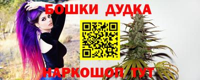крисы Кунгур