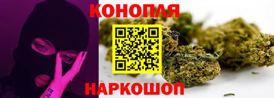 крисы Кунгур
